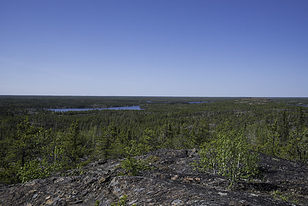 Overlook of Lakes and Pine Forest Landscape on the Ingraham Trail thumbnail