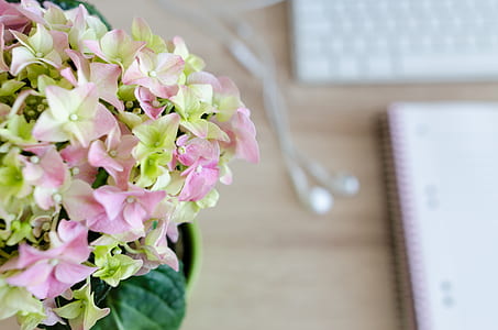 wood, flowers, desk, notebook thumbnail
