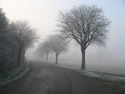 cold, snow, road, landscape thumbnail