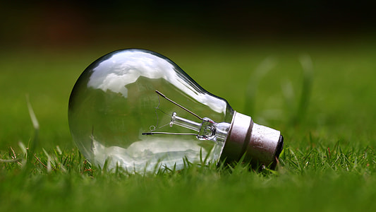 clear glass bulb light on green grass thumbnail