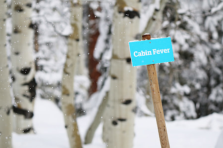 Cabin Fever signage beside tree thumbnail