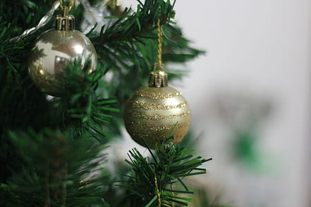 focus photo of brown bauble thumbnail