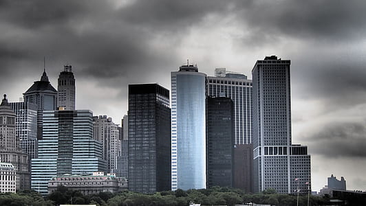 high-rise buildings near trees thumbnail