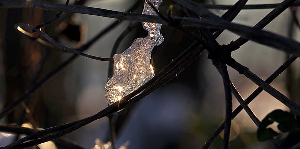 closeup photo of black framed string lights thumbnail