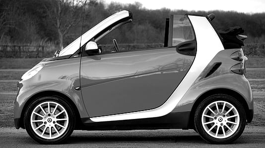 Smart Fortwo on Park thumbnail