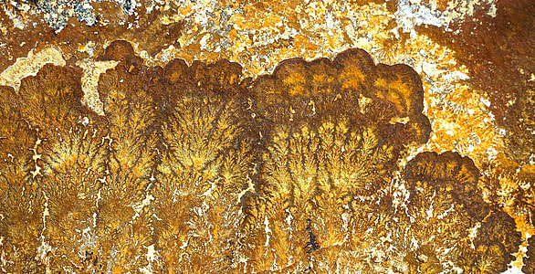 brown surface thumbnail