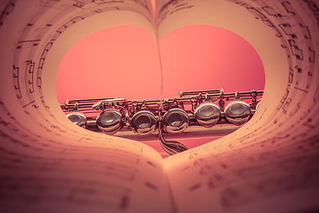 silver-colored clarinet through heart bend book view thumbnail