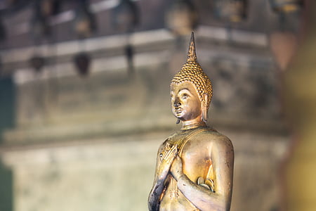 gold-colored buddha figurine thumbnail