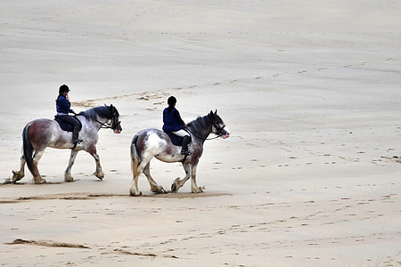 two person riding horse on grey sand during daytime thumbnail