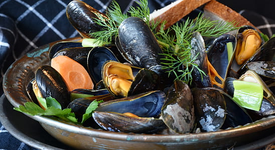 mussel delicacy on brown bowl thumbnail