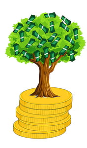 Illustration of money tree growing on top of a stack of gold coins. thumbnail