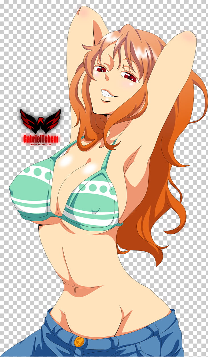 Nami Vinsmoke Sanji List Of One Piece Episodes Anime One Piece