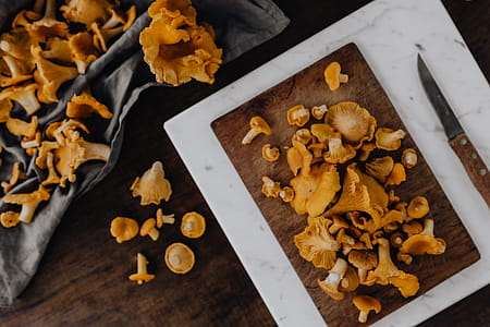 Picking mushrooms chantarelle in the woods thumbnail