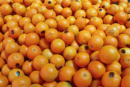 bunch of orange fruits thumbnail