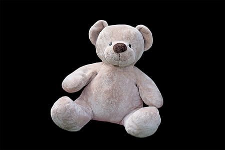 brown bear plush toy thumbnail