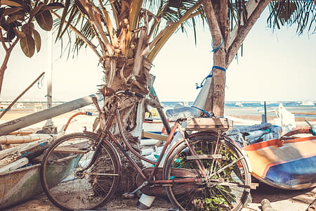 Brown Cruiser Bike thumbnail