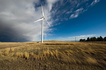 windmill thumbnail