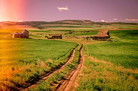 View of fields with farm houses and road thumbnail