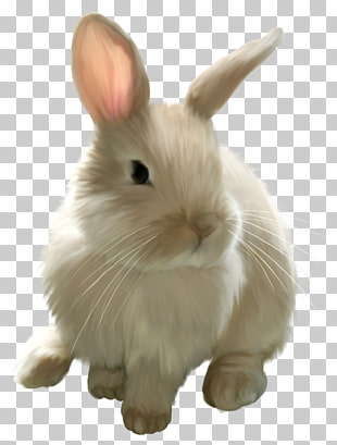 Easter Bunny Rabbit , Cute Painted Bunny , white rabbit PNG clipart