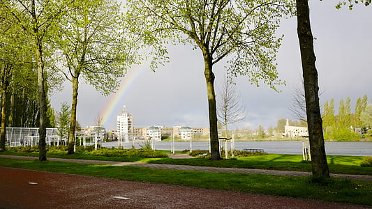 nature, sky, water, street thumbnail