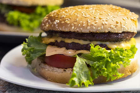 hamburger on plate thumbnail