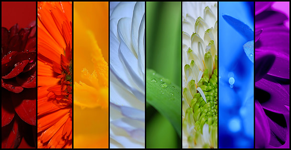 multicolored wallpaper thumbnail