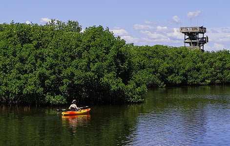 person riding kayak near forests thumbnail
