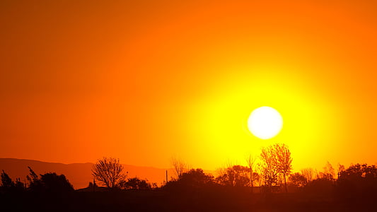 silhouette forest field during sunset thumbnail