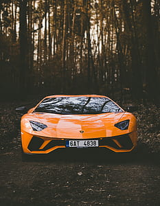photo of yellow Lamborghini Aventador near the trees during daytime thumbnail