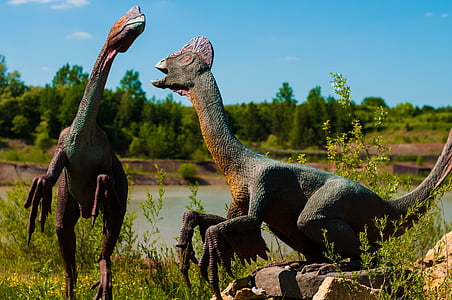two gray dinosaurs thumbnail