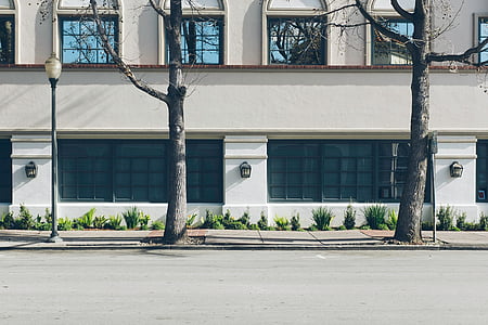 trees near building thumbnail
