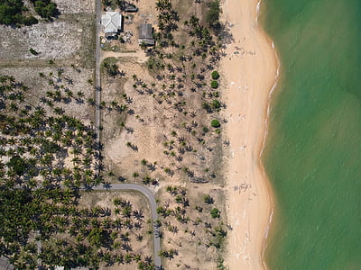 Aerial Photography of Seashore With Coconut Trees thumbnail