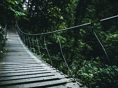 Brown Hanging Bridge thumbnail