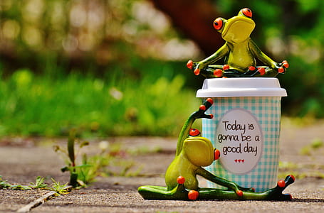 selective focus photography of two frog figurines beside white disposable cup thumbnail