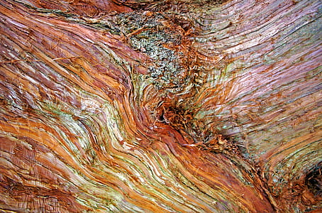 closeup photography of brown log thumbnail