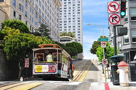 brown and white bus parks near green tree during daytime thumbnail