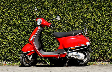 red motor scooter thumbnail