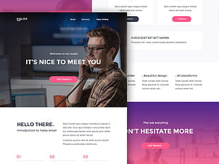 Halox Email Template psd file