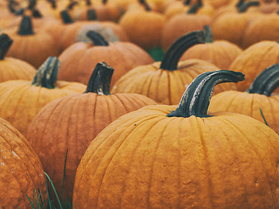 shallow focus photography of squash lot thumbnail