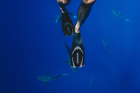 person in black Cressi flippers swimming thumbnail