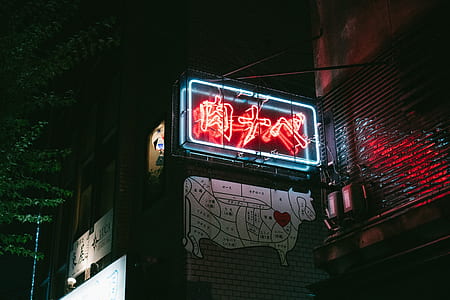 blue and red LED signage thumbnail
