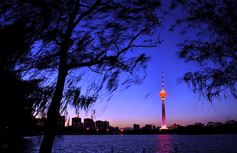 lighted CN tower thumbnail