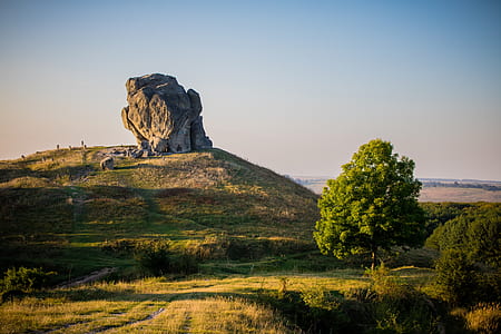 brown rock formation on grass field under white sky thumbnail