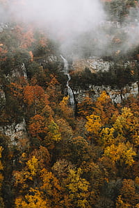green trees on mountain with clouds thumbnail