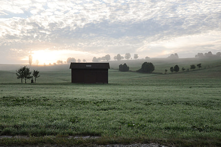 brown shed surrounded by green grass during daytime thumbnail