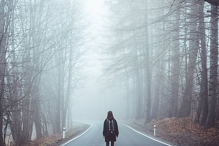 woman standing in between bare trees during daytime thumbnail