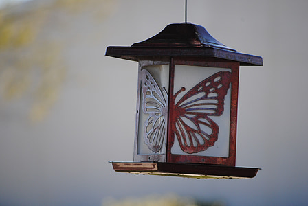 close-up photo brown butterfly lantern lamp thumbnail