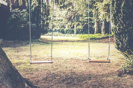 two brown swings on tree thumbnail