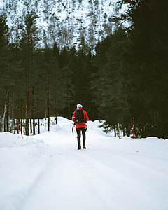 man standing on snow field between trees thumbnail