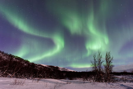 green aurora boreallis thumbnail